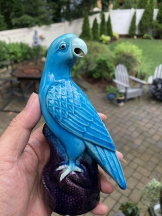 Chinese Porcelain Parrot Figure Turquoise With Rare Mark
