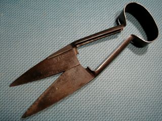 Vintage Antique Moores Improved 9a Sheep Shears Clippers 13  3/8 Old Farm Tool