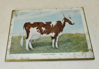 L514 - Rare Vintage 1950s Ayrshire Dairy Cow Sign Easel Back