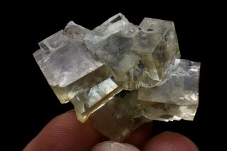 22g Natural Green Phantom Fluorite Crystal Cluster Rare Mineral Specimen China