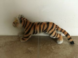 RARE VINTAGE STEIFF Mohair Standing Running Bengal Tiger w/button 0900/14 3