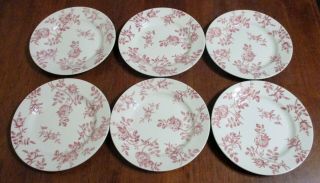 Set Of 6 Churchill Antique Rose Pink 8 " Dessert Plates Red Roses On White Euc