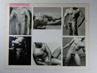 Rare - Male Nude Model Set Card,  Western Photography Guild,  11x14,  Gay Interest
