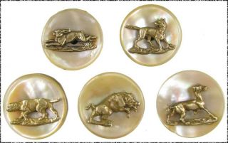5 Piece Antique Sporting Button Set,  Mother Of Pearl W/ Brass Escutcheons