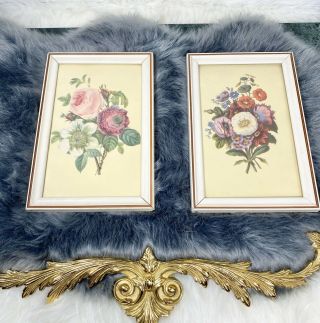 Vintage Floral Framed Prints Nasturtiums Peony Flowers Foliage Set/2 Rectangle