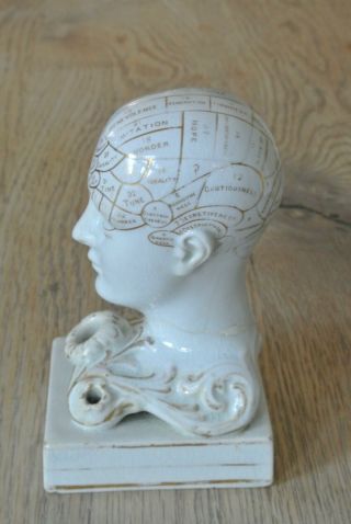 Rare 19th century Phrenology head bust inkwell by F bridges circa 1840 - 60 2