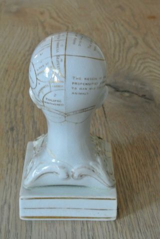 Rare 19th century Phrenology head bust inkwell by F bridges circa 1840 - 60 3