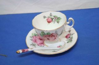 Vintage Adderley English Fine Bone China Cup Saucer & Spoon Gold Trimmed