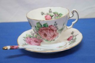 Vintage Adderley English Fine Bone China Cup Saucer & Spoon Gold Trimmed 2