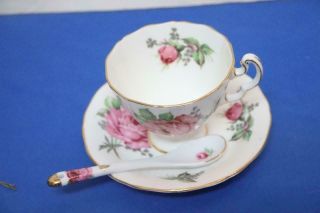 Vintage Adderley English Fine Bone China Cup Saucer & Spoon Gold Trimmed 3