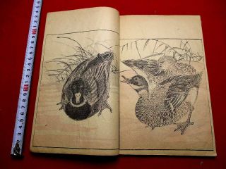 1 - 10 Rare Japanese Kaishien Ukiyo - E Woodblock Print Book