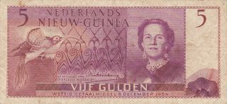 5 Gulden Fine Banknote From Netherlands Guinea 1954 Pick - 13 Rare