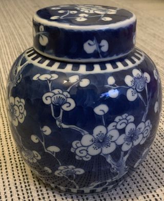 Antique Chinese Kangxi Period Blue Prunus Ginger Jar Vase Rare Form