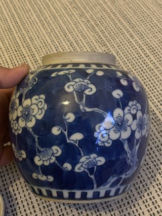 Antique Chinese Kangxi Period Blue Prunus Ginger Jar Vase Rare Form 2