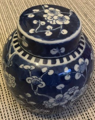 Antique Chinese Kangxi Period Blue Prunus Ginger Jar Vase Rare Form 3