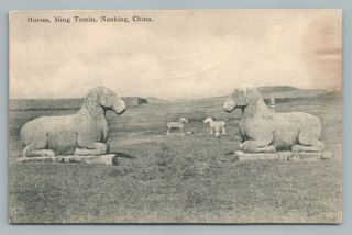 Horse Statues—ming Tombs Nanking China—rare Antique Postcard Burr Photo Co 1910s