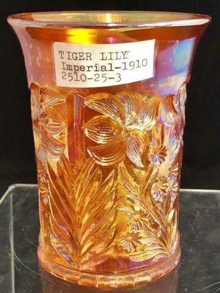 Antique 1910 Imperial Carnival Glass Marigold Tiger Lily 4 " Tumbler Vintage Cup