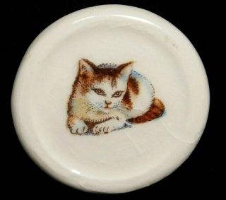 Antique Vtg Button Kitten Transfer On Porcelain Laying Cat J7