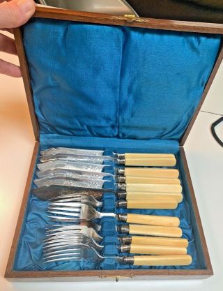 Antique Uk Bovine Handled Forks Knives Sterling Bands 12 Pc Set Velvet Wood Box