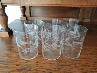 Set Of 6 Vintage Mcm Juice Glasses 3 - 5/8 " ” Rare Etched Fern