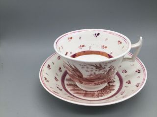Rare 19c.  Antique English Staffordshire Pink Luster Tea Cup & Saucer Exotic Bird