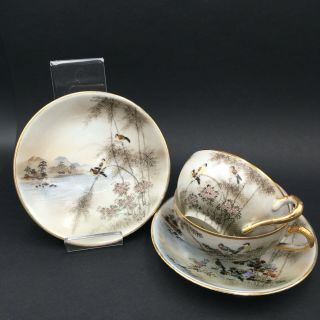 Porcelaine Fine De Chine 2 Tasses à Café Oiseaux - Antique China Cups Birds (4)