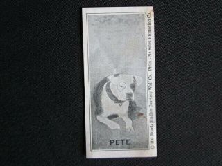 1929 F59 Pete The Dog Hershey 