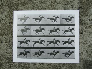 Vintage Fine Art Print - Man Riding Galloping Horse By Eadweard Muybridge