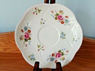 Very Rare Shelley Rose & Red Daisy Dainty 13425 Large 6.  25 " Saucer.  9 Available.