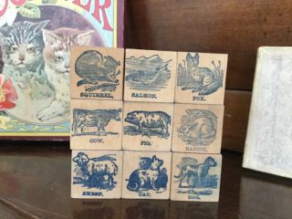 Antique Victorian Lithograph Children’s Blocks,  Box Doll Bear Display