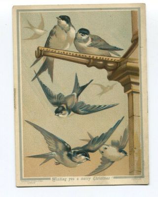 128 Antique Raphael Tuck Victorian Christmas Card - Swallows
