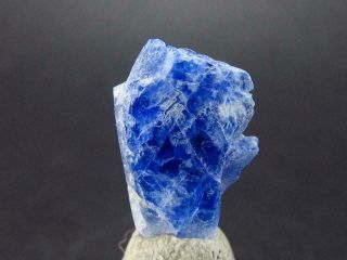 Fine Rare Carletonite Crystal Mt St Hilaire Canada - 0.  5 " - 0.  50 Grams