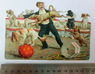 Large Victorian Die Cut Scrap Circus Act Dogs Embossed Paris Hippodrome Antique
