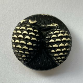 Antique Vintage Buffed Celluloid Plastic Picture Button Black & White Pinecones
