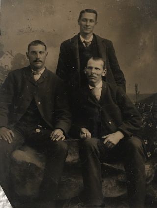 Antique American Three Young Men Seated Portrait Tintype Photo