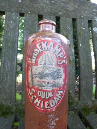 Antique Gin Stoneware Bottle Hulstkamp LEAPING HARE Schiedam 2