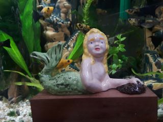 Vintage Antique Aquarium Fishbowl Ceramic Bisque Blond Haired Mermaid With Shell