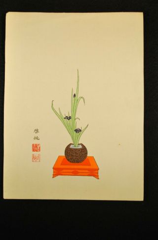 Antique Meiji Era Japanese Floral Ikebana Woodblock Print 6