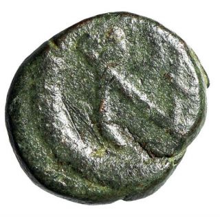 Rare Emperor Leo I Roman Coin " Leontine Monogram In Wreath " Certified With