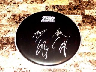 Halestorm Rare Signed Drumhead Display Lzzy Hale Autographed