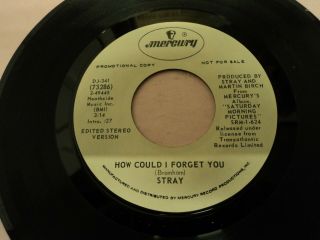 Stray - How Could I Forget You - Rare Us Promo Pressing
