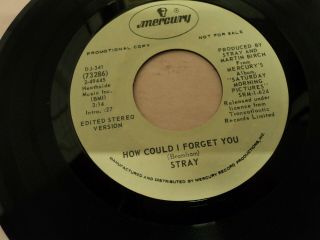 STRAY - HOW COULD I FORGET YOU - RARE US PROMO pressing 2