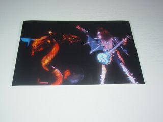 Kiss 8x12 Photo Gene Simmons Rare Live Concert Love Gun Album Tour 1977 5