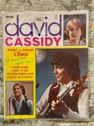 David Cassidy Paint And Color Photo Album Rare Partridge Family Posters