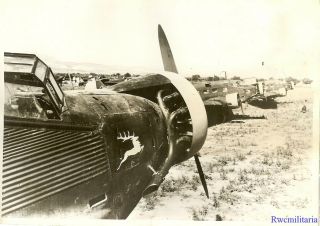 Press Photo: Rare Luftwaffe Ju - 52 Transport Planes (kgzbv.  106),  Kreta,  Greece