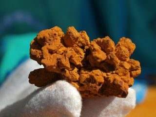 Coprolite Dinosaur Poop Rare Crystallized Fossil 70 Million Years Old Madagascar
