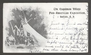 Rare Pc247 Esquimau (eskimo) Village Pan American Exposition Postcard Am Expo