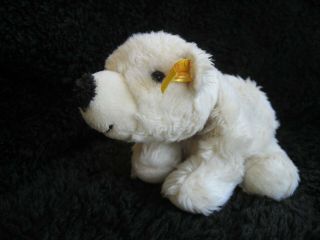 Rare Vintage German Steiff Polar Bear Baby W.  Button & Tag