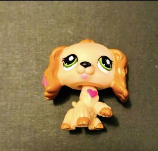 Lps Rare Pink Hearts Cream Color Green Eyed Cocker Spaniel Dog 1963 Perfect