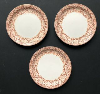 3 Vintage Brown Westhead Moore Potters To Her Majesty Coral Plates Rare Antique